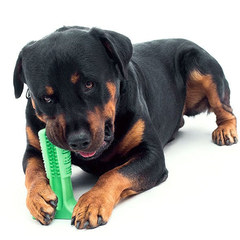 Silicone Pet Toothbrush Dog Tooth Stick Brush - Always Needs